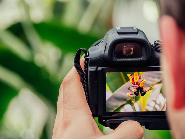 Viewfinder Viewing